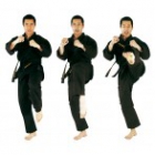 0122 0122 - Karate Allround Noir