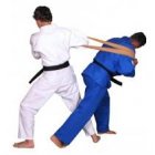 031509 031509 - Uchikomi Tube Judo